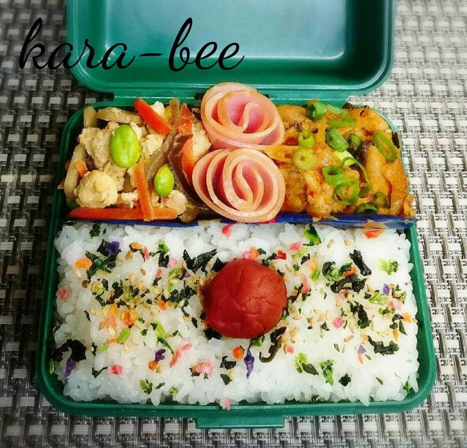 食いしん坊からちゃんのダブルディスティニー弁当|からあげビールさん