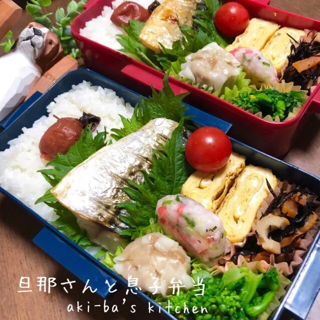 旦那さんと息子弁当3/6|アキーバさん