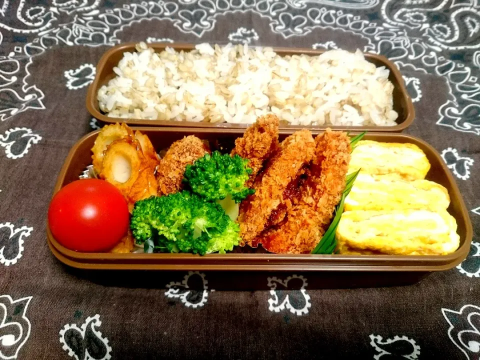 ☆今日のお弁当☆    パパのお弁当作り始めました。|hamamaさん