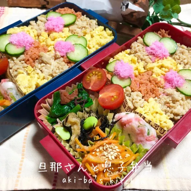 Snapdishの料理写真:旦那さんと息子弁当3/7|アキーバさん