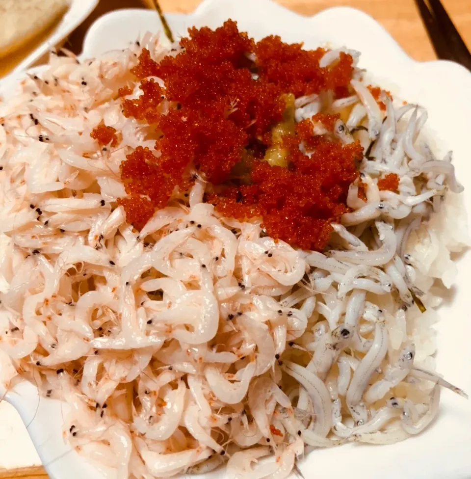 釜揚げ桜えび🦐釜揚げしらす丼|ミカさん