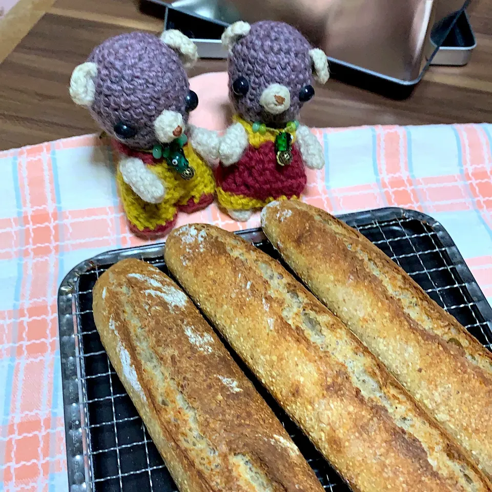 Snapdishの料理写真:ライ麦ルヴァンの自家製パン焼きたて（╹◡╹）|chagashiさん