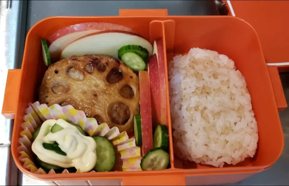 飛び散るキュウリ弁当|JDの限界弁当さん