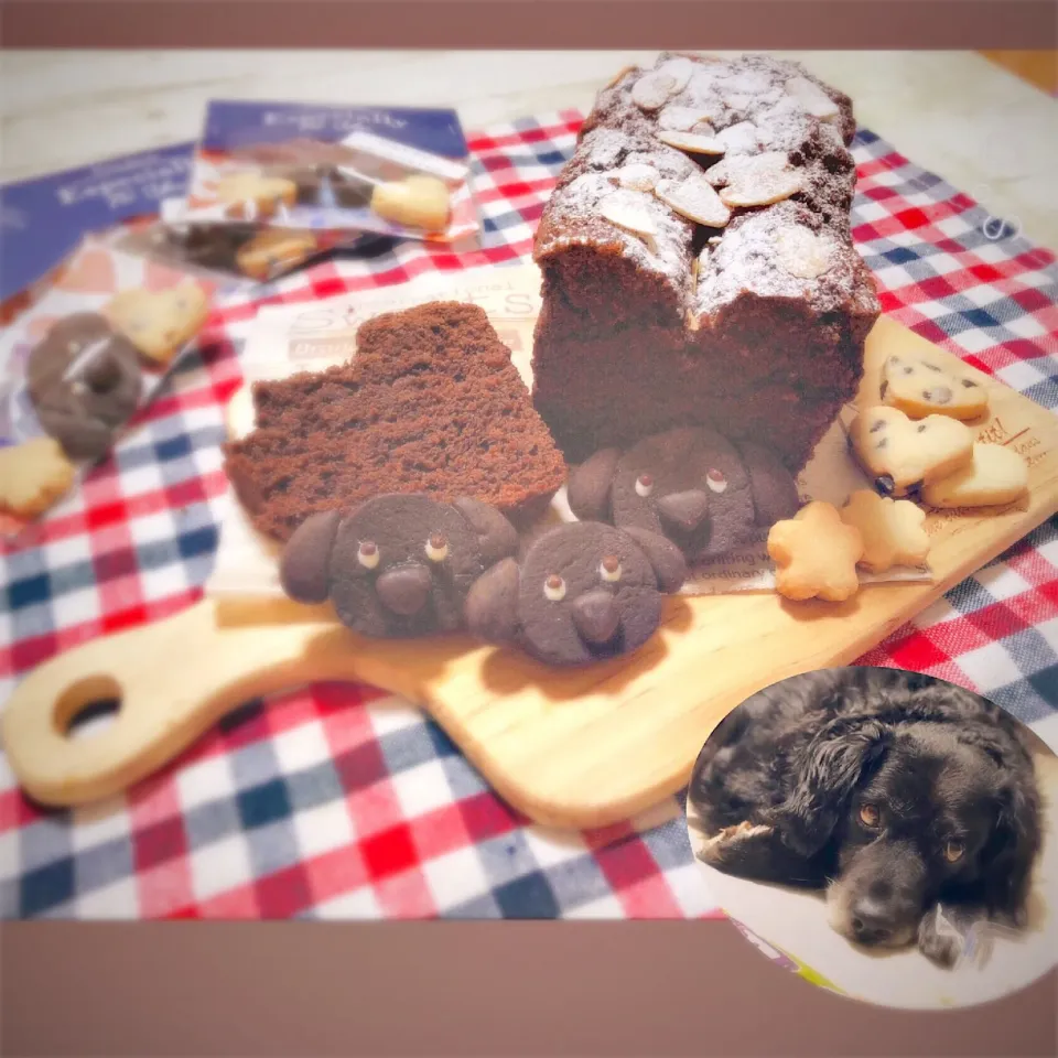 Snapdishの料理写真:実家で飼ってるわんわんクッキー🐶しっとり濃厚チョコケーキ🍫|☁︎s*a ☁︎さん