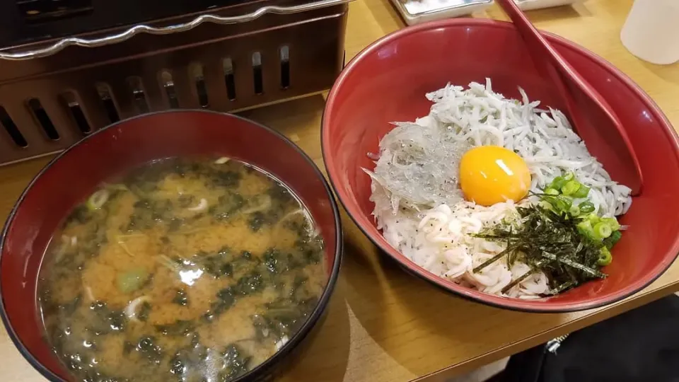 豪華しらす三色丼&あおさの味噌汁|Morito Kamiyaさん