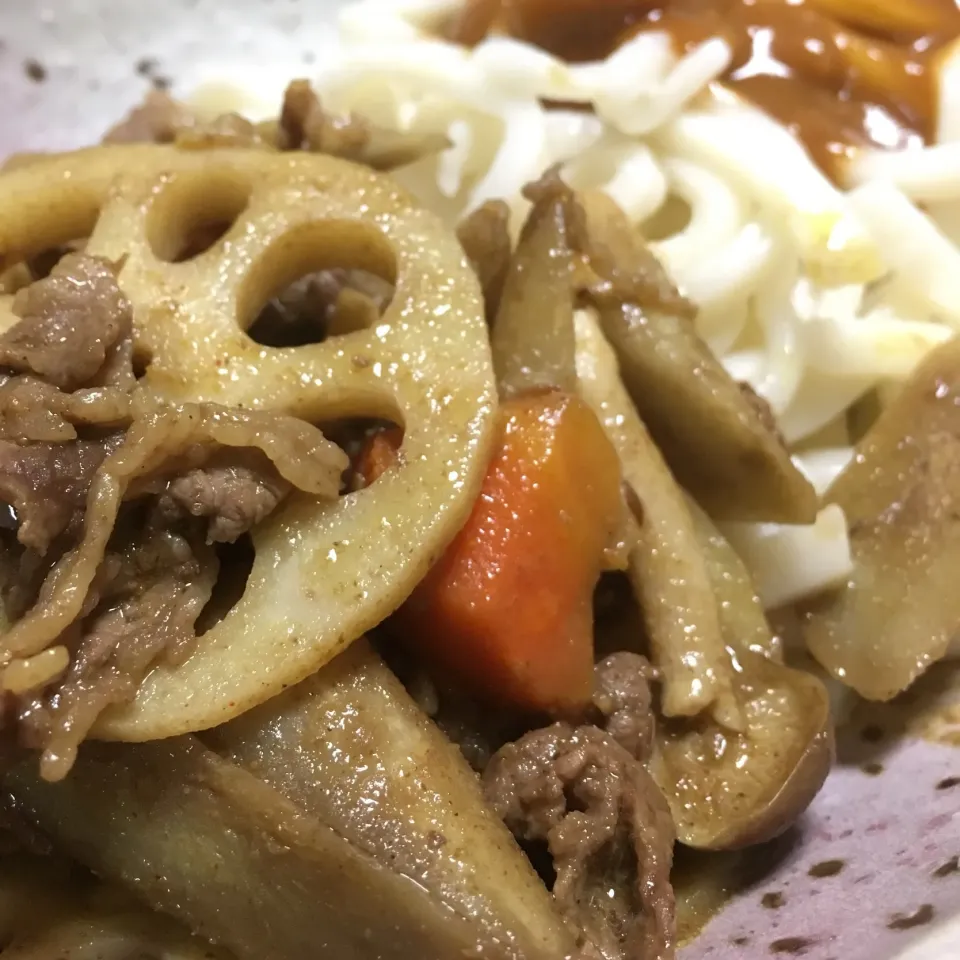 Snapdishの料理写真:#根菜カレーうどん
2019.3.10|Yu Yu mamaさん