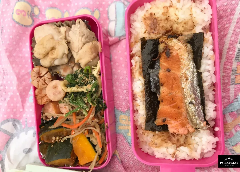 ピクニック❤(｡☌ᴗ☌｡) 久しぶりにお弁当作りましたー✨ 鮭弁当✨|ゆうき✨さん