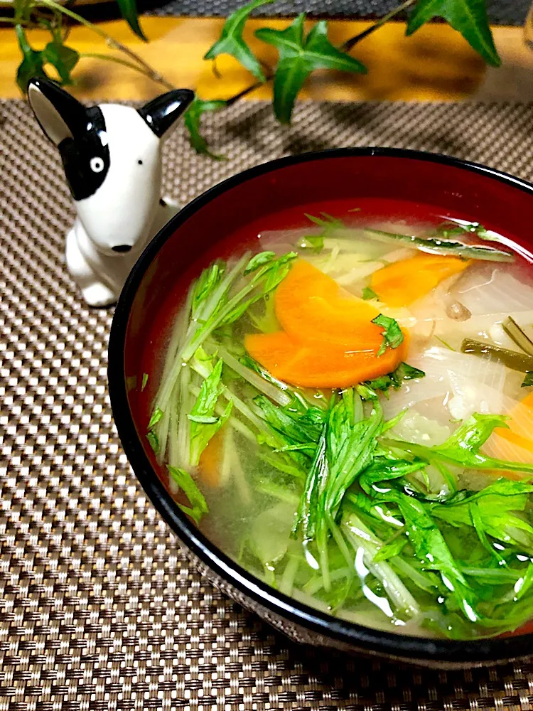 Snapdishの料理写真:野菜たっぷりお味噌汁|くっきいママさん