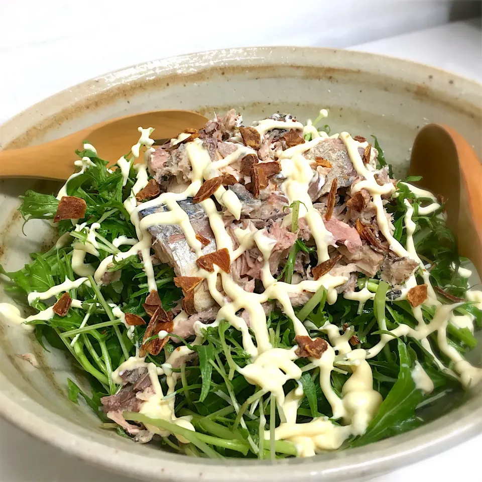 Snapdishの料理写真:鯖缶と水菜のサラダ🥗マヨネーズ、にんにくチップ、七味|まいまいさん