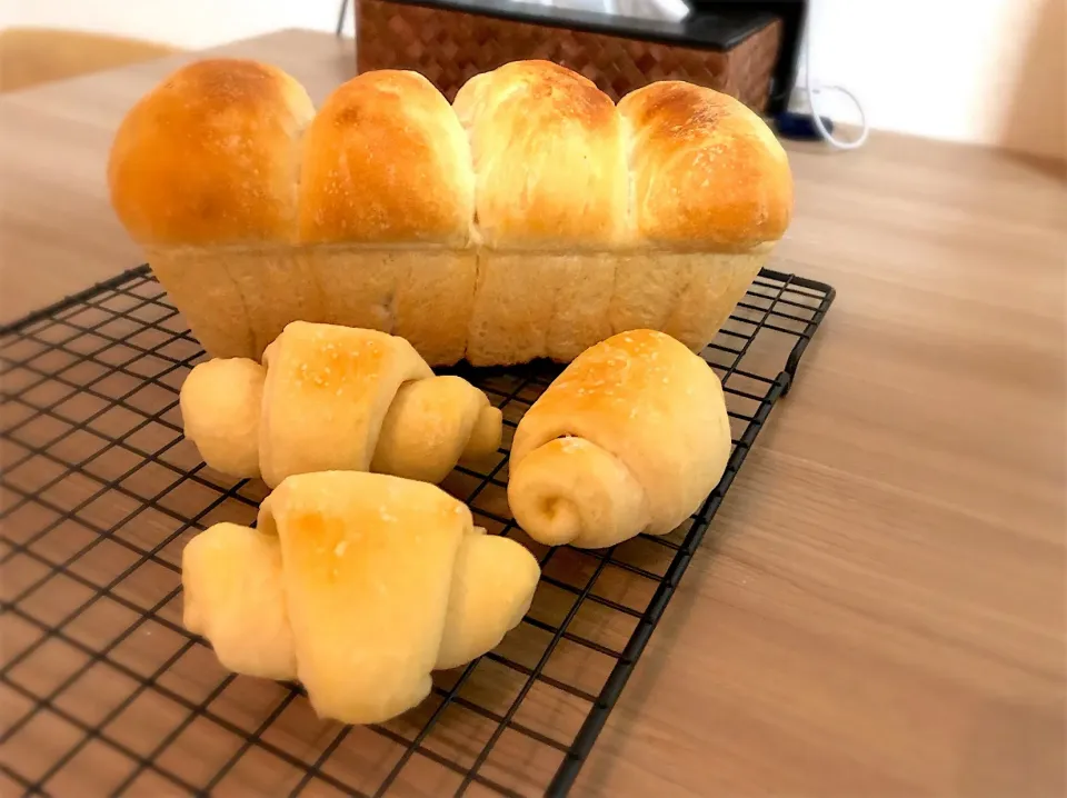 焼き立て食パン🍞塩パン|きむらゆりかさん