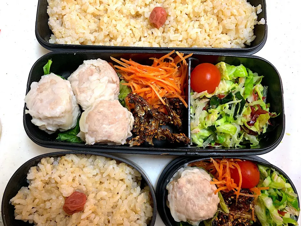 #今日のお弁当|Victoryageさん