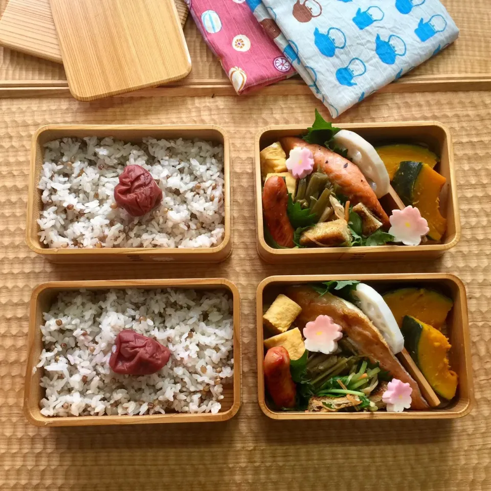 🍱３月１２日(火) 今日のお弁当
○ もち麦ごはん・梅ぼし
○ ハラス焼鮭
○ ケチャップウインナー
○ 玉子焼き
○ かぼちゃの煮つけ
○ 葉ごぼうの炒め煮
○ 糸三つ葉と焼きあげの新生姜醤油
○ 酢蓮根・大葉・花麩|mutsumi☺︎さん