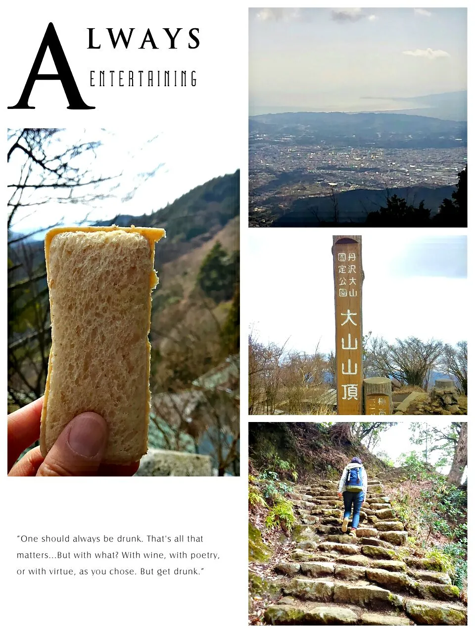 ランチパックで大山登山|みるくここあさん