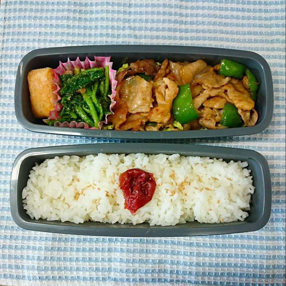 アサイチの生姜焼き弁当|jun(・x・)さん