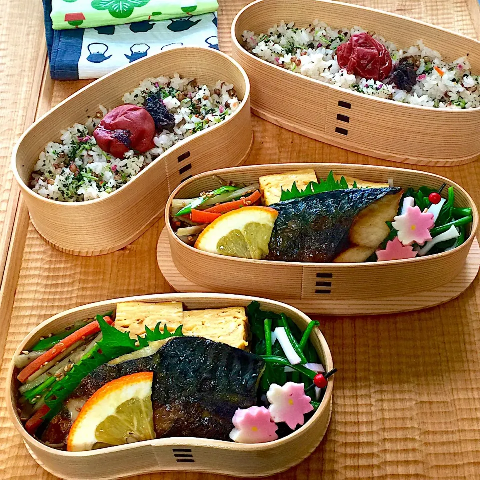 🍱３月１３日(水) 今日のお弁当
○ もち麦ごはん
○ 塩鯖にだいだい
○ 玉子焼き
○ ほうれん草と蒲鉾のお浸し
○ きんぴら
○ 梅干し・ふりかけ・大葉・花麩|mutsumi☺︎さん