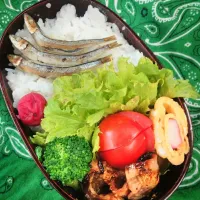 Snapdishの料理写真:今日のお弁当|akiさん