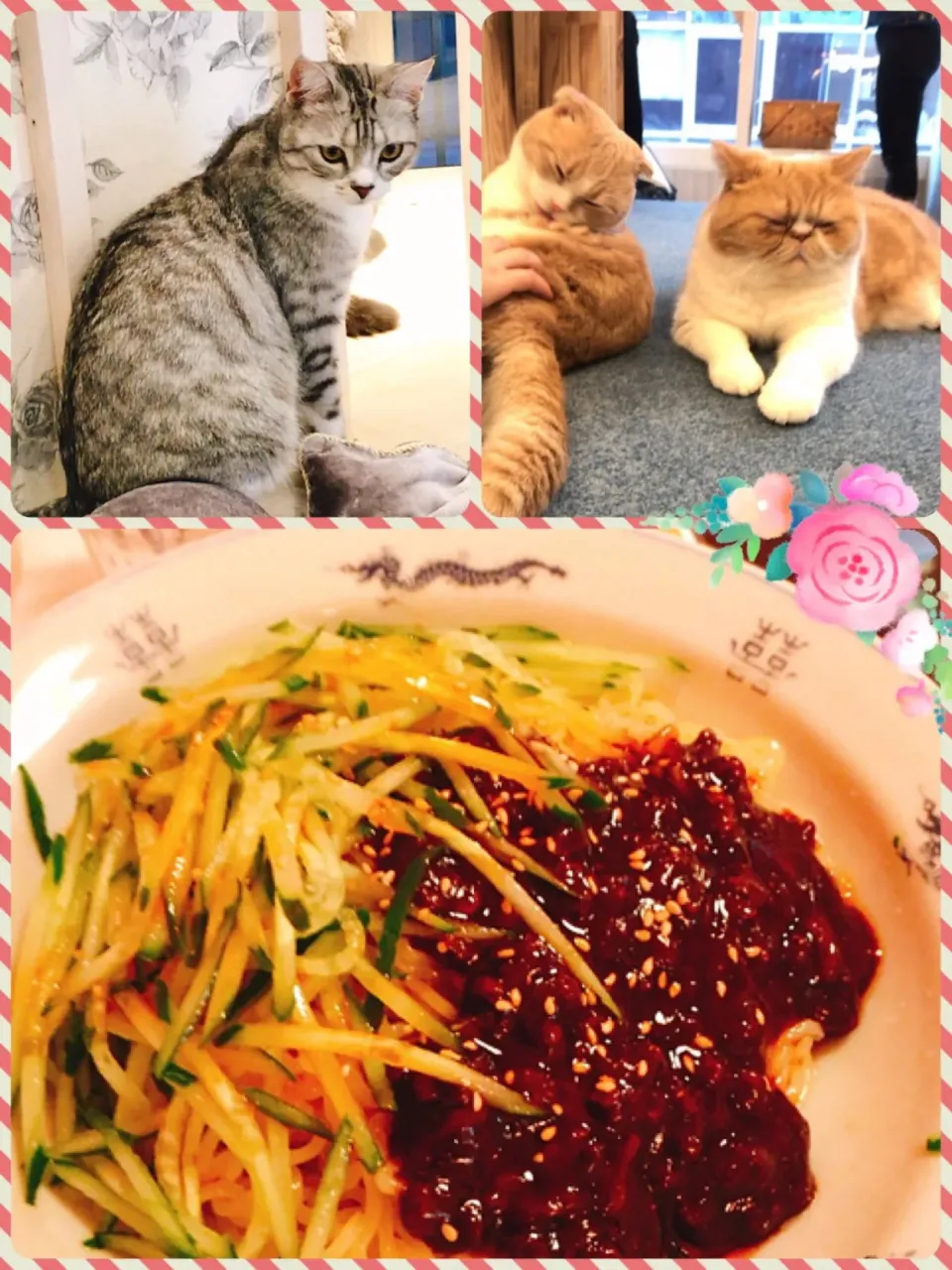 ジャージャー麺とネコカフェと|もっさんさん