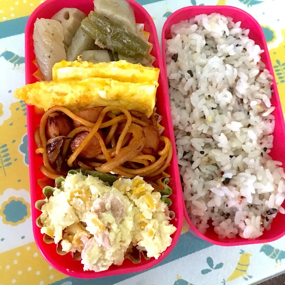 Snapdishの料理写真:190313お弁当|mioさん