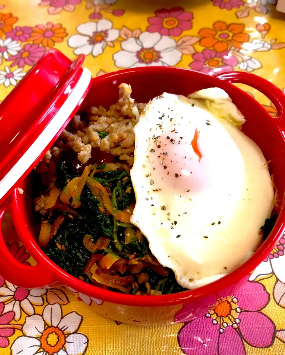 Snapdishの料理写真:ビビン丼お弁当❣️ (夕飯の残り🌸|pika nilcoさん