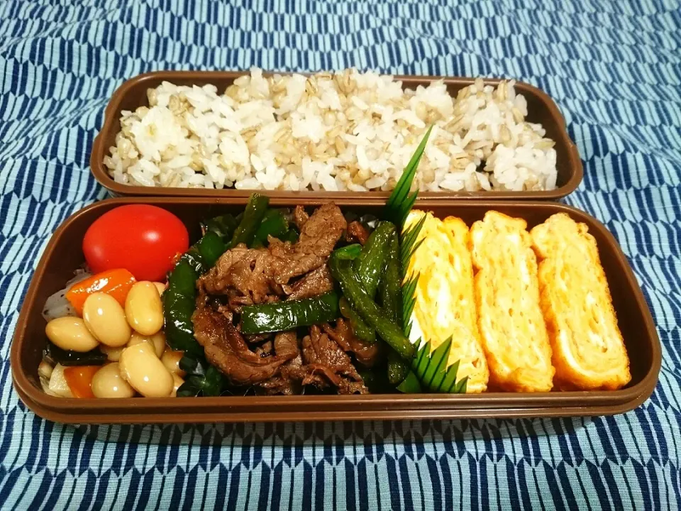 ☆今日のお弁当☆  パパのお弁当作り始めました|hamamaさん