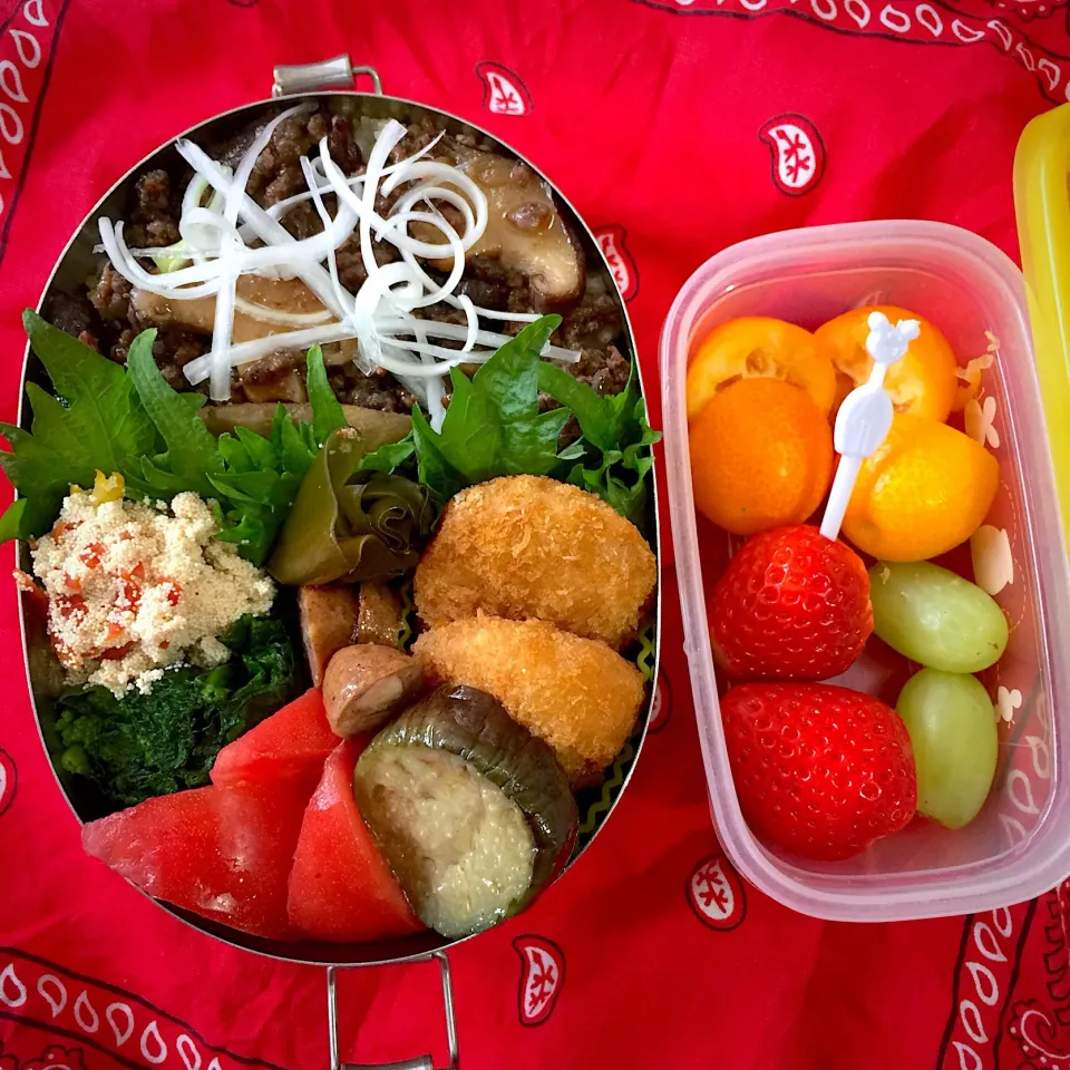 #お弁当 #お父さん弁当  #地味飯 #割と雑ですが   #野菜たっぷり  #ヘルシー弁当  #デザートはイチゴと金柑とマスカット #玄米ご飯 #ゆきむすび #シニア世代|Blueberry🫐さん