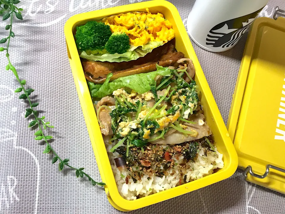 Snapdishの料理写真:高校生男子今日のお弁当20190315#豚肉と豆苗の卵とじ #サバの味噌煮弁当  #お弁当記録|mi♪さん