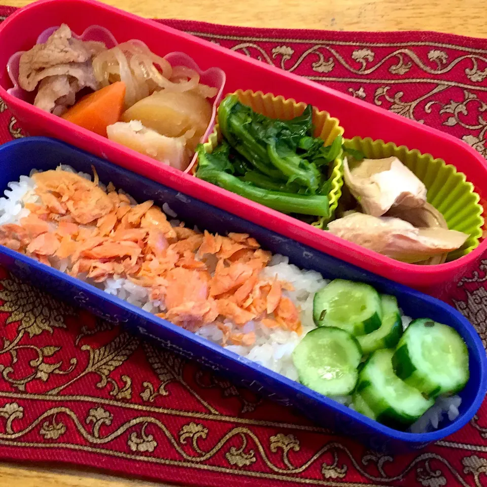 鶏ささみと菜の花のおひたしと、肉じゃがと、ほぐし鮭ご飯弁当|もえさん