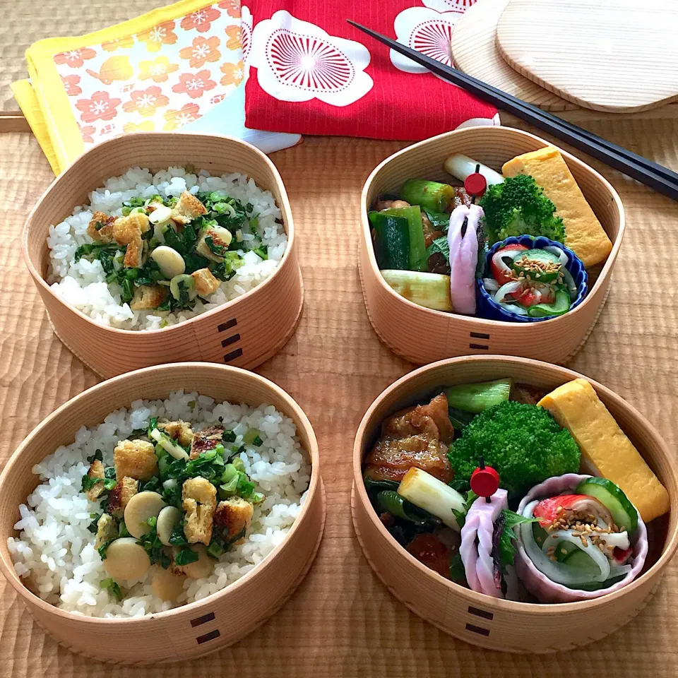 🍱３月１５日(金) 今日のお弁当
○ 白ごはん・大根菜とあげ
○ 鶏もも九条ねぎの照り焼き
○ 胡瓜と新玉ねぎ酢の物
○ たまごやき
○ ブロッコリー
○ かまぼこに大葉&梅紫蘇|mutsumi☺︎さん