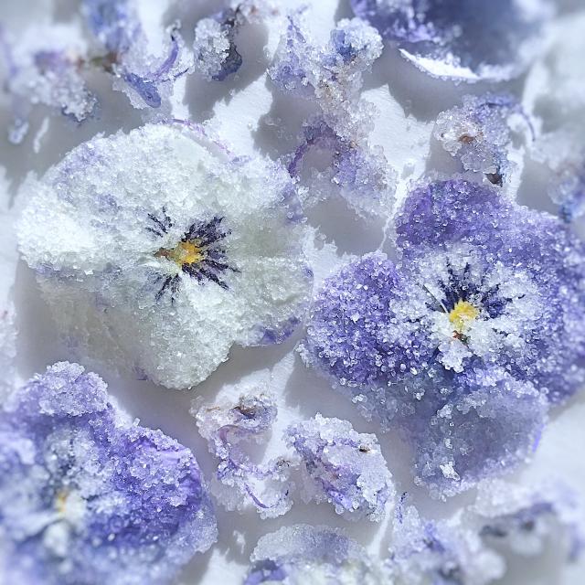 DelRey デルレイ スミレの砂糖漬け すみれの花びら砂糖漬け 100g