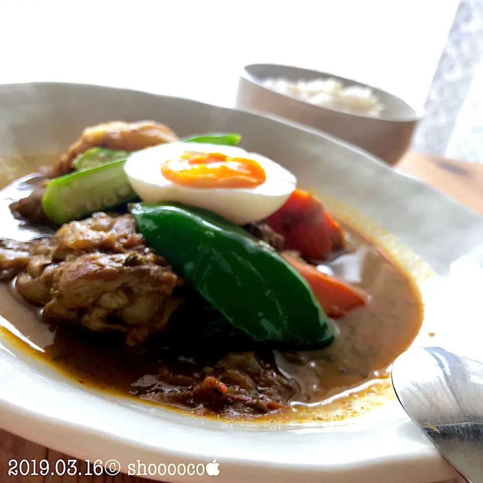 Snapdishの料理写真:スープカレー🍛|shoooocoさん