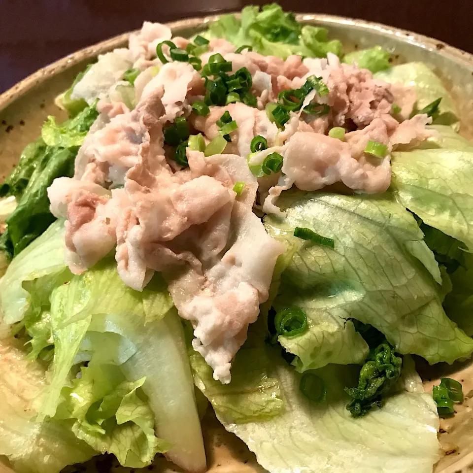 豚しゃぶサラダ🥗|純さん