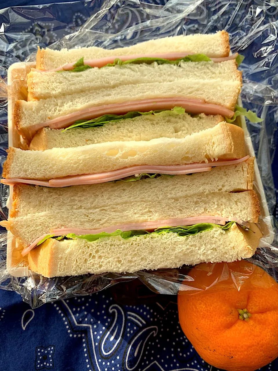 息子のバイト弁当🥪|iguigupopさん