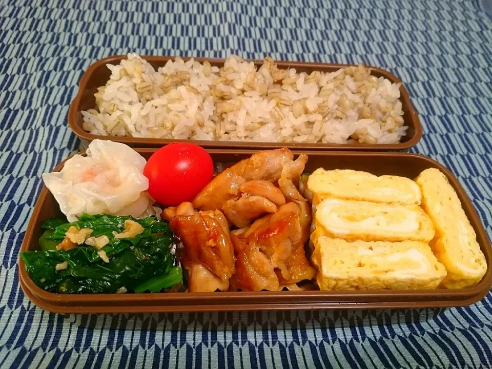 ☆今日のお弁当☆  パパのお弁当作り始めました。|hamamaさん