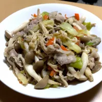 フライパンシリーズ【肉野菜炒め】
 #フライパン 
 #野菜炒め|マーシーさん