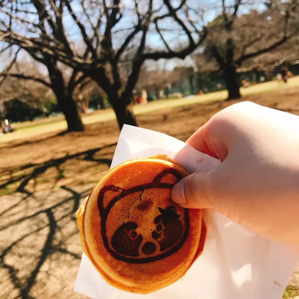 Snapdishの料理写真:おやつ🍪🍭🍘|ちこさん