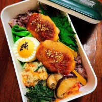 Snapdishの料理写真:旦那さん弁当:つくね弁当🥢
#卯の花
#切り干し大根の煮物 
#春菊の胡麻和え
#ゆで卵|SaaOさん