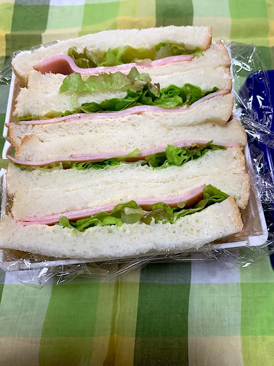 息子のバイト弁当🥪3/19|iguigupopさん