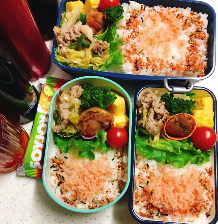 Snapdishの料理写真:今日のお仕事&学校弁当♪2019.3.19|ぐぅさん