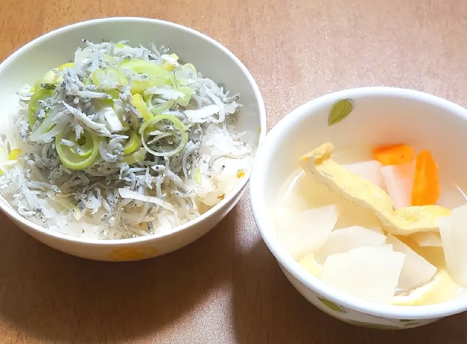 しらすとネギの丼
大根とにんじんとお揚げさんの炊いたん|ナナさん