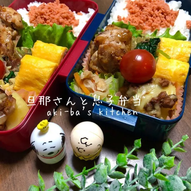 旦那さんと息子弁当3/20|アキーバさん