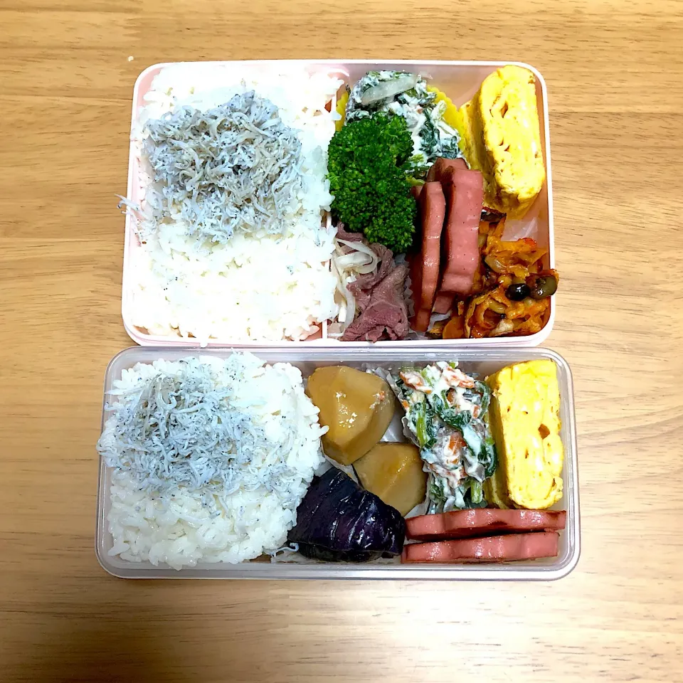 Snapdishの料理写真:旦那弁565＆息子弁|ラブリー心愛さん