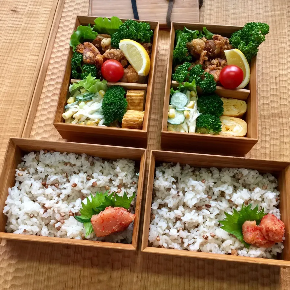 🍱３月２０日(水) 今日のお弁当
○ もち麦ごはん・辛子明太子
○ 塩レモン唐揚げ
○ 茹でたブロッコリー
○ マカロニサラダ
○ 玉子焼き
○ レタス・ミニトマト・パセリ・レモン・大葉|mutsumi☺︎さん