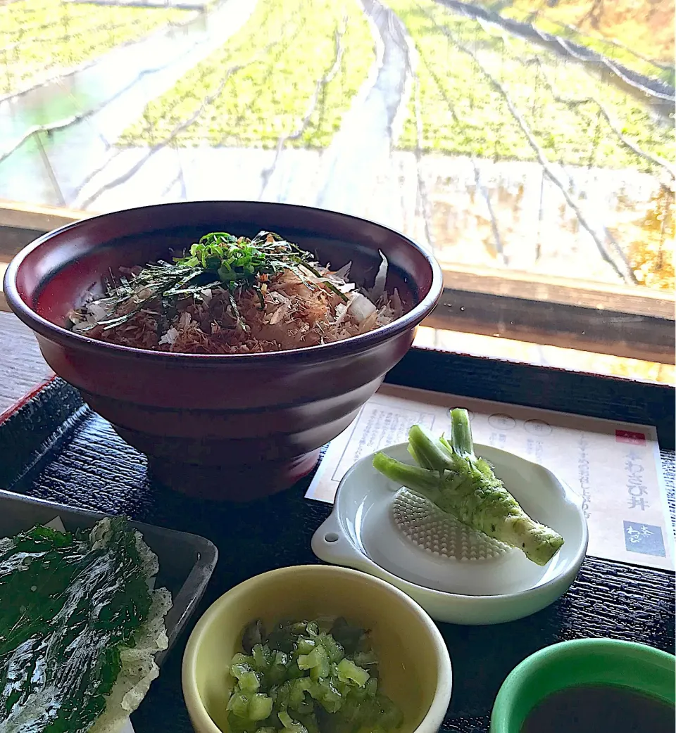 昼ごはん  本わさび丼|砂雪さん