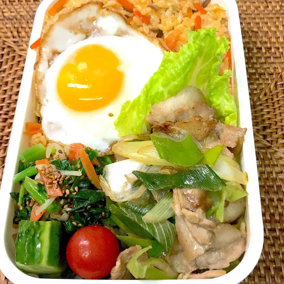 おじさん弁当🍱  ☆ Mar.22.2019 ☆


 #おじさん弁当|ニャン太郎さん