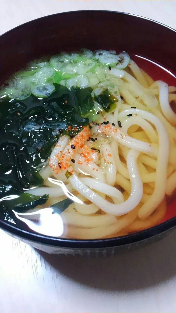 ずぼらうどん|みるくここあさん