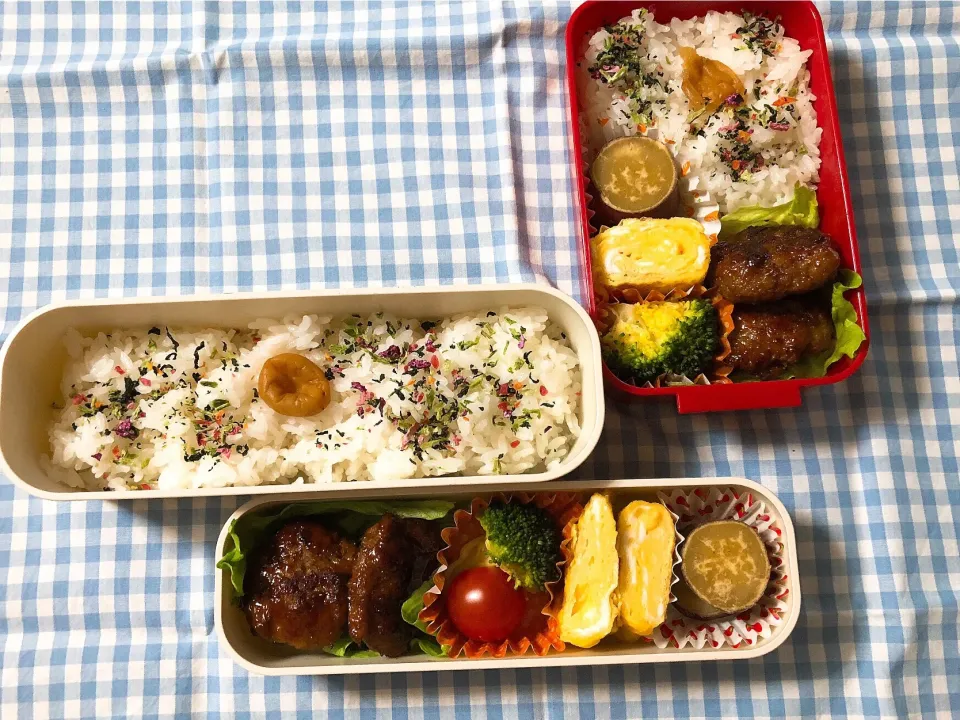 Snapdishの料理写真:2019/03/25(月) 夫弁当＆娘弁当🎵|kiyominさん