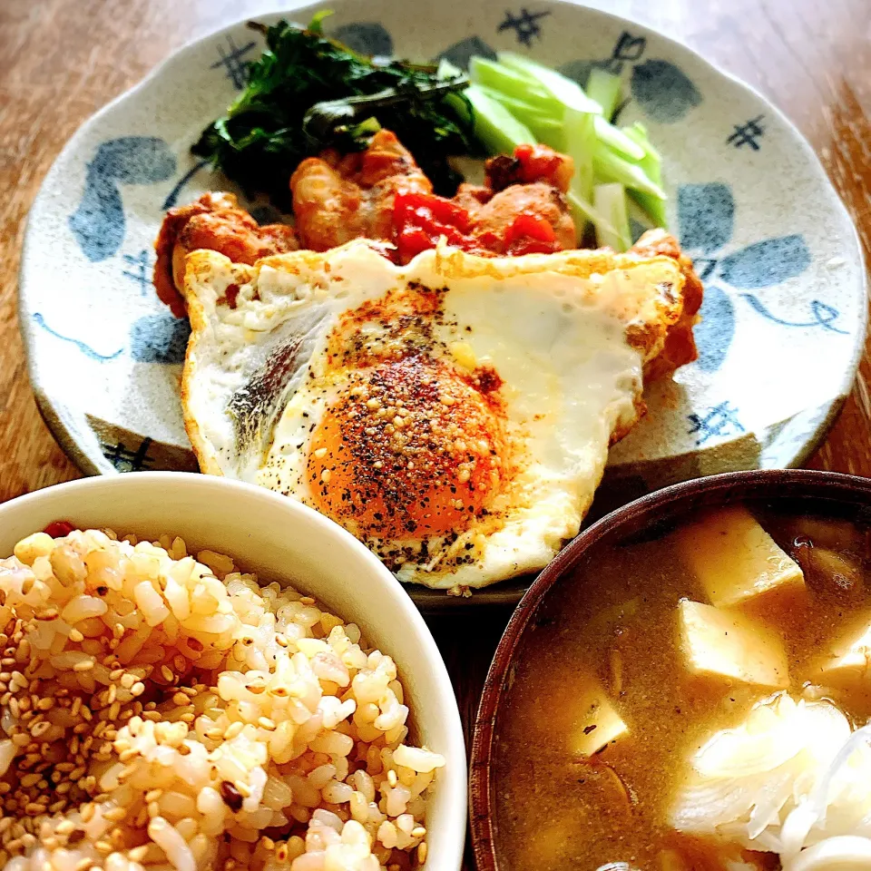 手羽元のトマト煮定食|プチテンよすさん