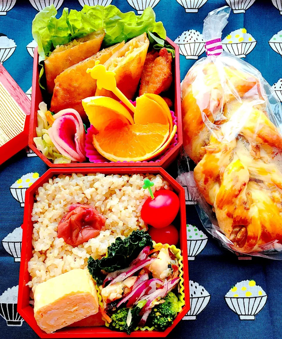 #お弁当 #お父さん弁当  #がっつり弁当 
 #玄米弁当  #春巻き弁当  #日の丸弁当 
 #野菜たっぷり  #カボチャと胡桃のデニッシュ|Blueberry🫐さん