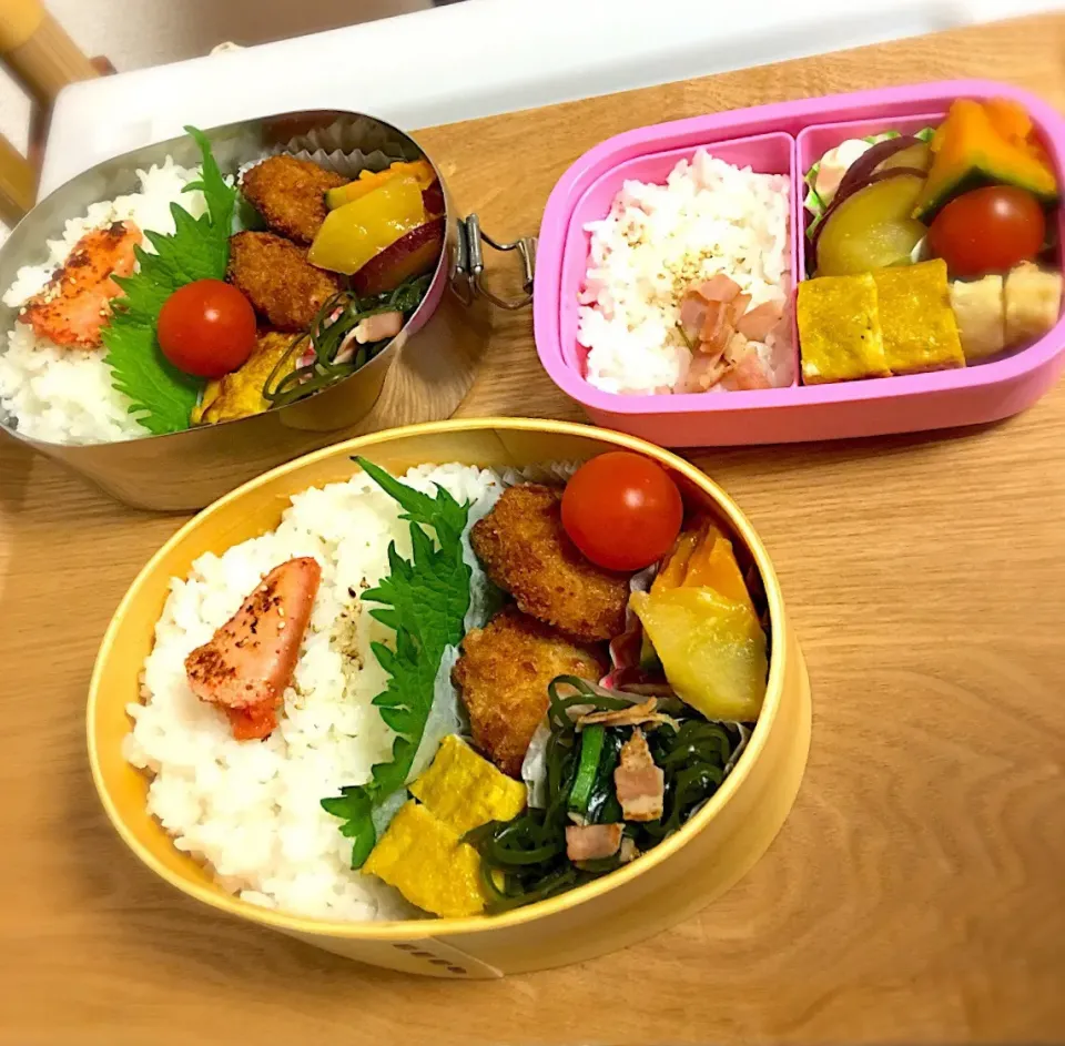 家族弁当🍙|ももた🌸さん