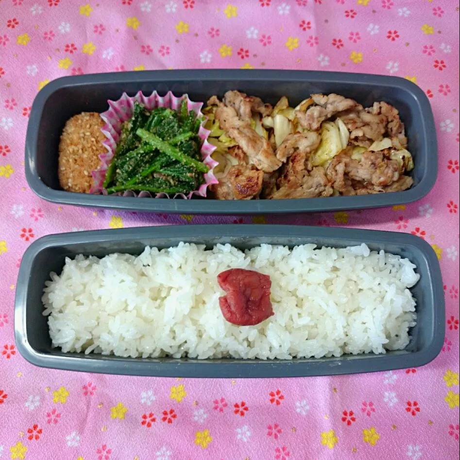 Snapdishの料理写真:肉野菜炒め弁当|jun(・x・)さん